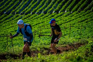 BIB: 
                            <button type="button" onclick="openModal(19160820)" class="btn btn-primary btn-sm float-right btn-popup" data-toggle="modal" data-target=".modal-high-quality">
                        <i class="fas fa-shopping-cart"></i> Add to Cart
                    </button>
                                            <button type="button" onclick="isThisMe(19160820, true)" class="btn btn-success btn-sm float-right btn-popup btn-isme hidden" data-toggle="tooltip" data-placement="bottom" title="นี่คือรูปของคุณใช่ไหม คลิกที่นี่เพื่อเอาเข้าอัลบั้ม">
                        <i class="fas fa-plus"></i> Add to album
                    </button>
                    <button type="button" onclick="isThisMe(19160820, false)" class="btn btn-warning btn-sm float-right btn-popup btn-isnotme hidden">
                        <i class="fas fa-ban"></i> Remove from album
                    </button>